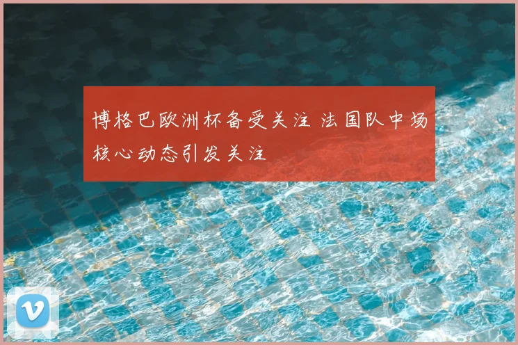 博格巴欧洲杯备受关注 法国队中场核心动态引发关注